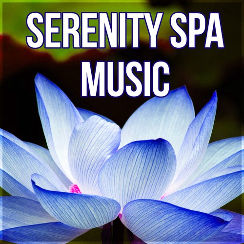 Background Music - Song Download from Serenity Spa Music - Wellness Music  Spa, Music and Pure Nature Sounds for Stress Relief, Slow Music for Yoga,  Relaxing and Meditation @ JioSaavn