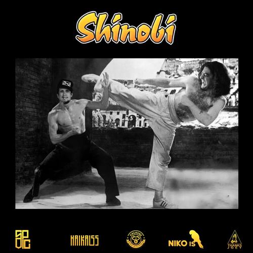 Shinobi_poster_image