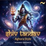Shiv Tandav Aghora Style