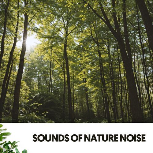 Sounds of Nature Noise: Symphony of Serenity_poster_image