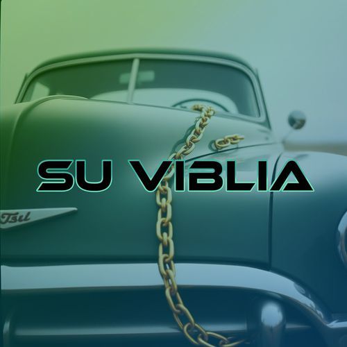 Su viblia cover art