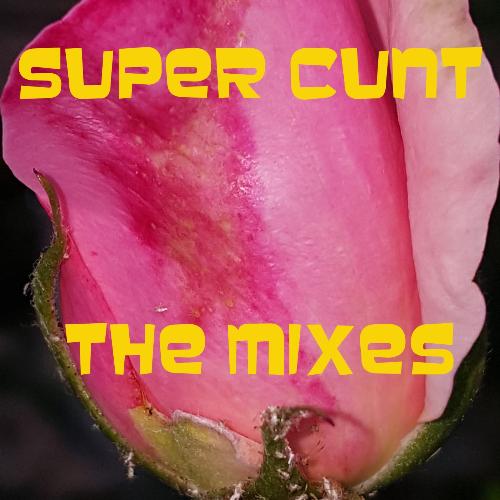 Super Cunt (Acid Jazz Punk Mix by the Nasty Lol Orchestra) cover art