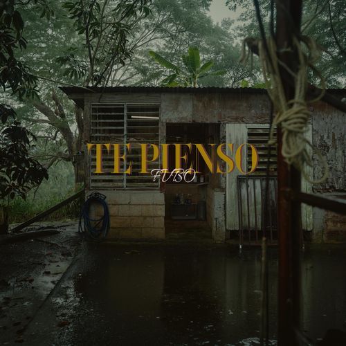 TE PIENSO cover art