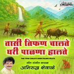 Tasi Tifan Chalate Ghari Palana Halate