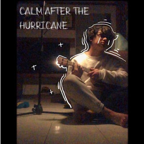 calm after the hurricane_poster_image