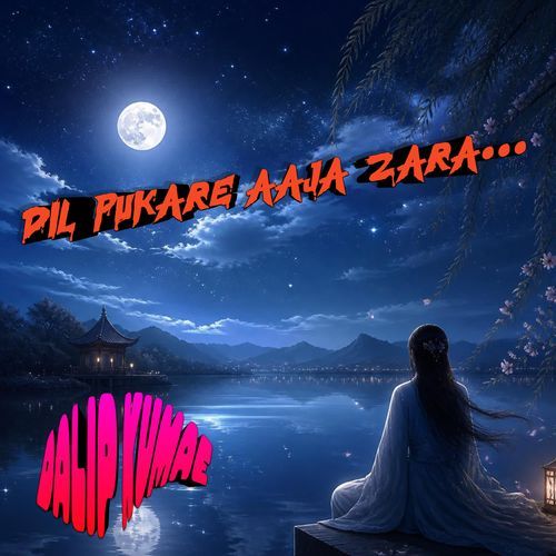 dil pukare aaja zara...