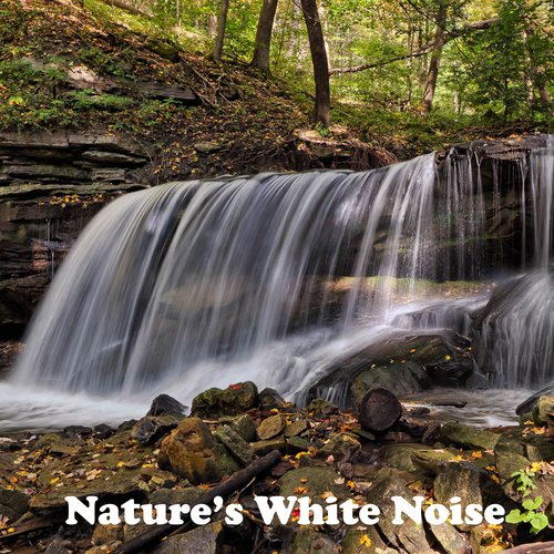 16 Rain Yoga Sounds. Nature's White Noise