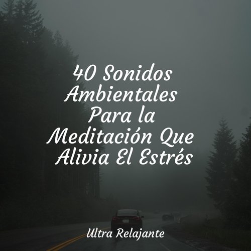 40 Sonidos Ambientales Para la Meditación Que Alivia El Estrés