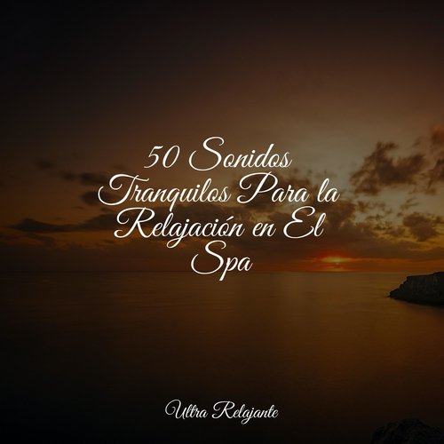 50 Sonidos Tranquilos Para la Relajación en El Spa_poster_image