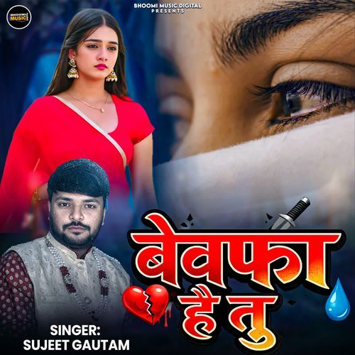 Bewafaa Hai Tu