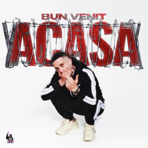 Bun Venit Acasa_poster_image