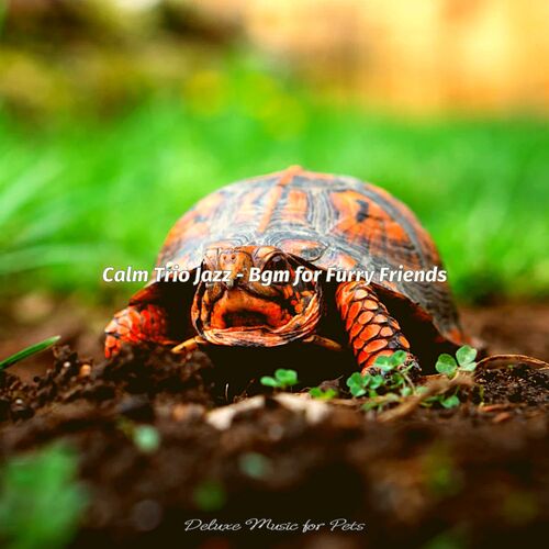 Calm Trio Jazz - Bgm for Furry Friends