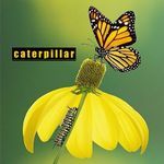 Caterpillar
