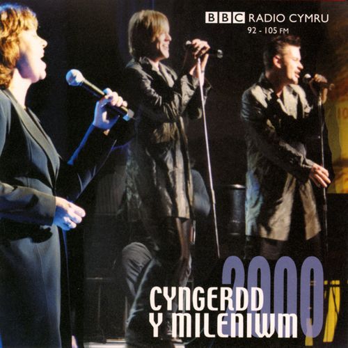 Rhywbeth o'i le cover art