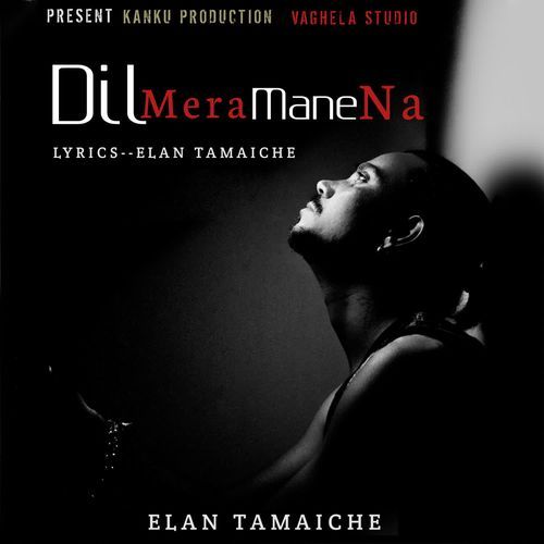 Dil Mera Mane Na