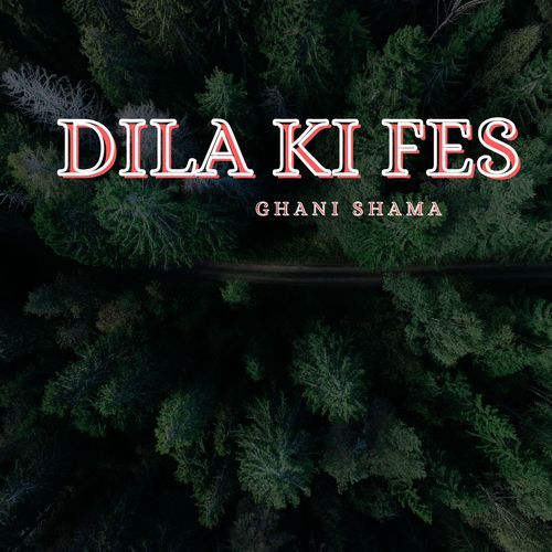 Deestun Janke Dilbare