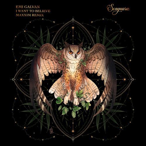 I Want to Believe (Maxxim Remix)