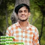 Jigar damdar meena ko