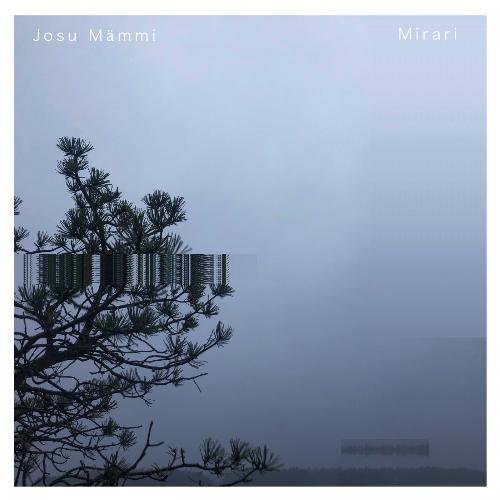 Glocal cover art