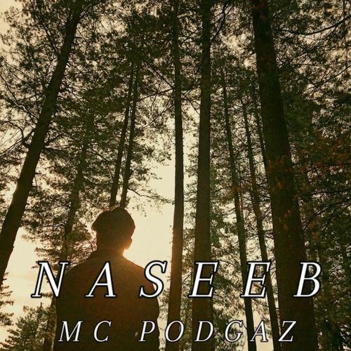 Naseeb