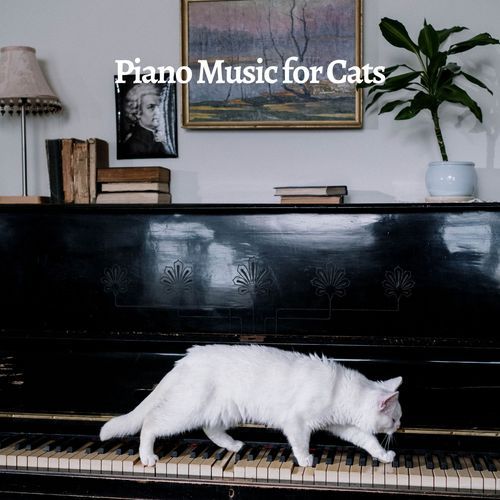 Piano Music for Cats