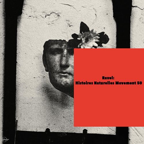 Ravel: Histoires Naturelles Movement 50