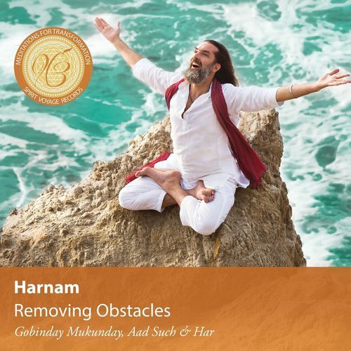 Removing Obstacles (Meditations for Transformation)