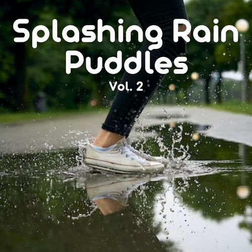 Lonely in the Rain cover art