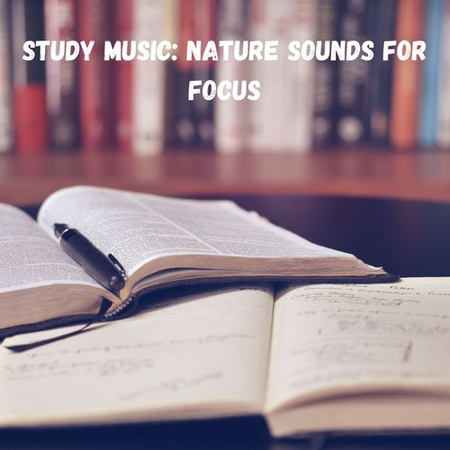 Study Music: Nature Sounds for Focus_poster_image