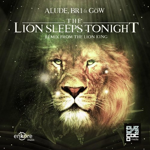 The Lion Sleeps Tonight (Remix)_poster_image