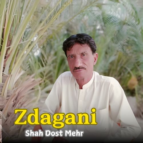 Z‌dagani