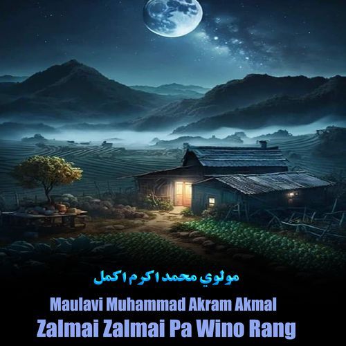 Zalmai Zalmai Pa Wino Rang