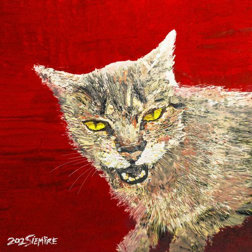Devendra cover art