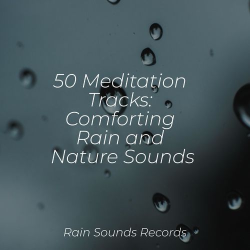 50 Meditation Tracks: Comforting Rain and Nature Sounds