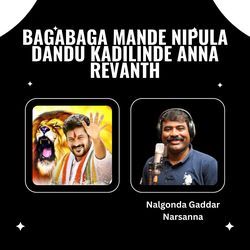 Bagabaga Mande nipula dandu kadilinde anna Revanth Anna Song-NSMDYDhzRmk