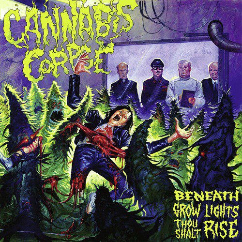 Visions from the Dank Side cover art