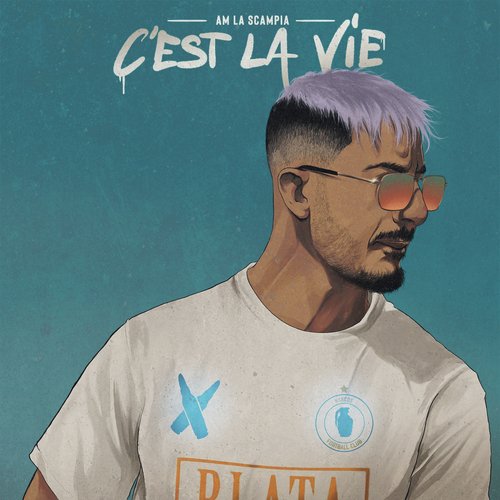 C&#039;est la vie_poster_image