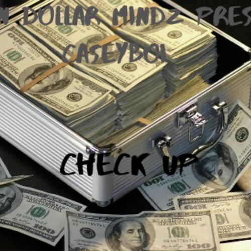 Check Up cover art