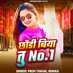 Chhoudi Biya Tu No 1 (From "Jeans Kholbu Ki Na")