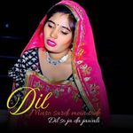 Dil Maro sardi mein tode Dil so ja da jawali