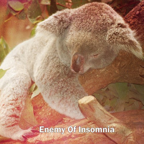 Enemy Of Insomnia