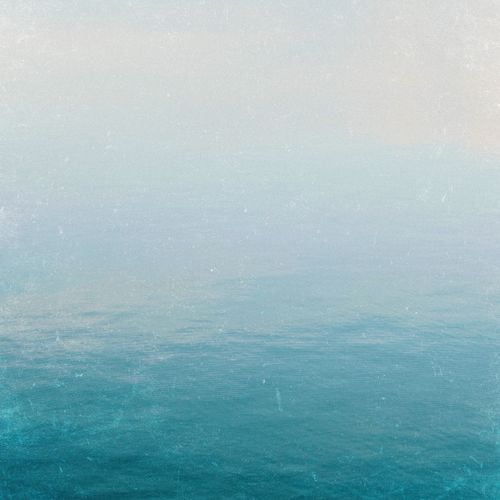 Selva cover art