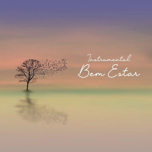 Instrumental: Bem Estar