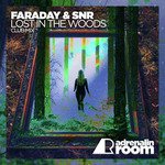 Lost in the Woods (Club Mix)