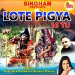 Lote Pigya 16 Tu
