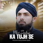 Meri Zindagi Ka Tujh Se