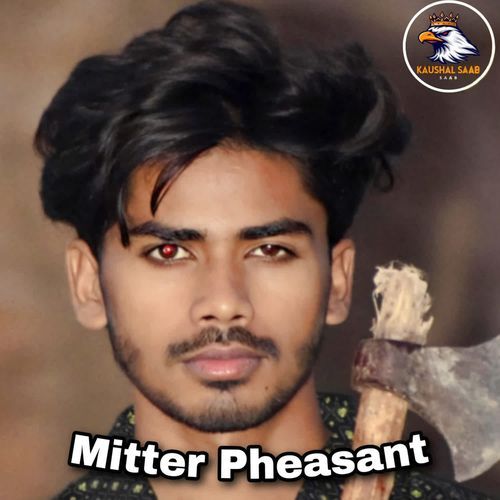 Mitter Pheasant