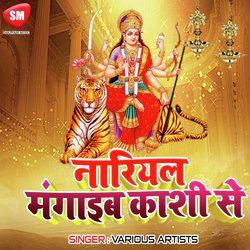 Aa Gaya Navratar Yaro-QRooREdlBlA