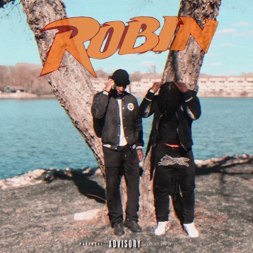 Robin cover art