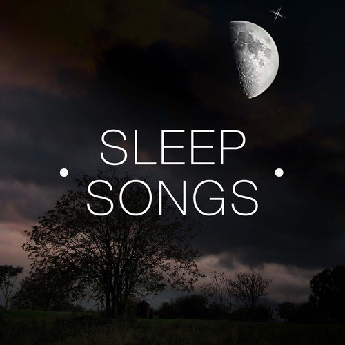 Sleep Songs - The Most Amazing Music that Puts Your Nervous System To Sleep